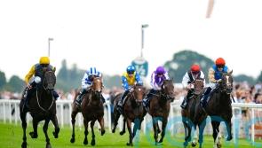 ParisLongchamp the next stop for Ballymount Boy
