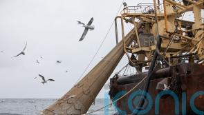 Government allowing overfishing by ignoring scientific advice, report warns