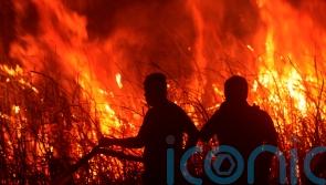 Firefighters battle peatland blazes on Indonesian island of Sumatra