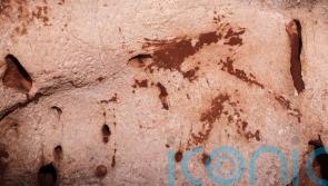 Cave art dating back 24,000 years discovered in Spain