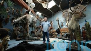 Taxidermist who helped create Hedwig in Harry Potter and made roller-skating alpaca says ‘I’ll work until I’m stuffed’