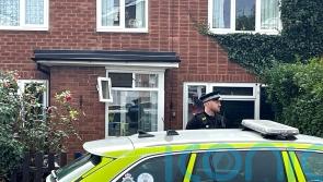 Man dies after attack by two dogs