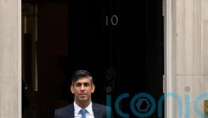 Rishi Sunak promises to ban ‘dangerous’ XL bully dogs by end of the year