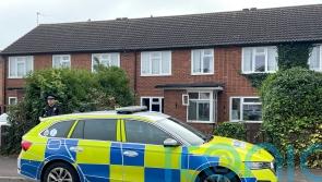 Man held on suspicion of manslaughter after attack by two XL bullies