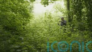 Man spends seven years making stinging nettle dress as he processes wife’s death