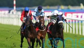 Murphy times it to perfection on Sandrine in Park Stakes