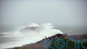 Man killed by falling tree and thousands without power as Storm Lee sweeps in