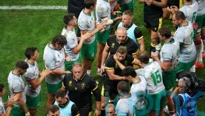 Wales move focus on to Australia after bonus-point success against Portugal