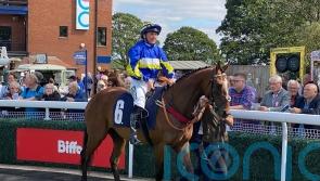 Macarone on a mission for Rob Burrow Racing Club at Thirsk