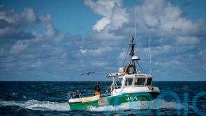 Poll suggests support for fishing ban in 40% of Scottish waters
