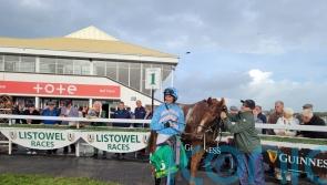 Luckinthecity gives Patrick Mullins his 800th career winner
