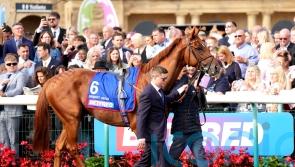 Haggas keeping Melbourne option open for now with Desert Hero