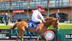 Maxux hits the back of the net at Fairyhouse
