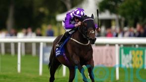 Speed king Shaquille remains in Champions Sprint mix