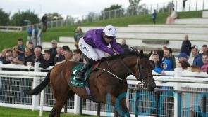 Bucanero Fuerte back next year with Classic bid in mind