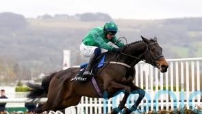Constitution Hill plans not a factor in Impaire Et Passe decision