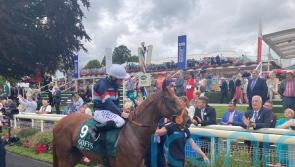Ground key to autumn campaign for Dragon Leader