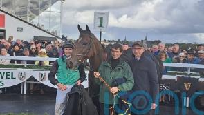Desertmore House takes famous colours to top spot in Kerry National