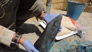 Proof of Stone Age humans building wooden structures uncovered by archaeologists