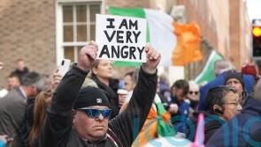 13 charged after demonstrators bring mock gallows to Leinster House protest