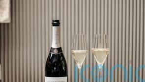 6 stunning medal-winning sparklers to cheer the English wine scene