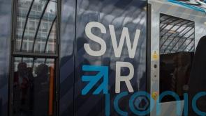 Swan on the line disrupts train operator for second day in a row