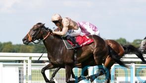 Heredia posied to be added to field for Sun Chariot