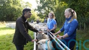 Sunak chats to farming apprentices on back of net-zero announcement