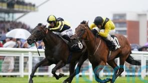 Mister Sketch backed to cope with tough conditions