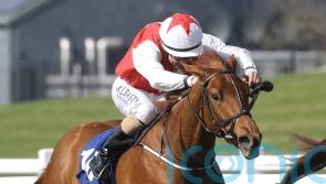 Curragh Quest for Ocean ahead of Ascot aim