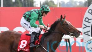 Prime Art paints a pretty picture for Murtagh and Curtis