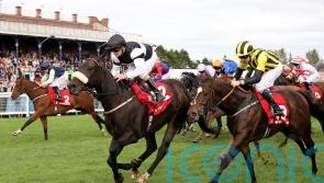 Significantly strikes Gold at Ayr