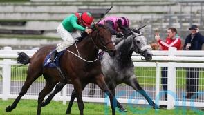 Go Athletico on target in Renaissance Stakes
