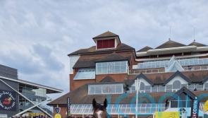 Setback scuppers Grand Alliance’s Cadran hopes