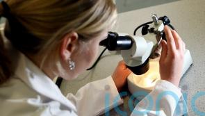Resetting immune system with stem cells could treat common form of MS – study