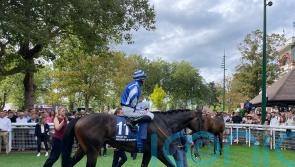Big Rock on course for QEII date at Ascot