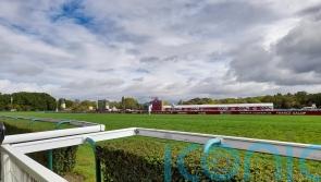 Good to soft going anticipated for Arc weekend