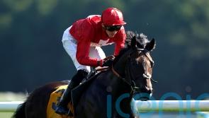 Chindit in top form for potential swansong at Newmarket