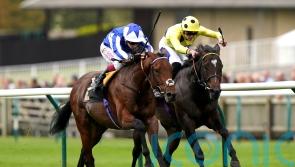 Bellum Justum too streetwise for promising Inisherin