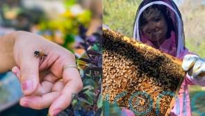 California woman credits bee sting sessions, shown to thousands on TikTok, with recovery from chronic Lyme disease