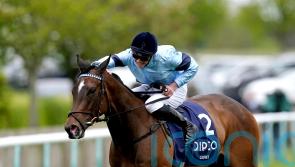 Ground proved key to Cachet getting Foret green light