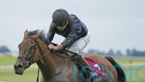 Emily Dickinson bidding to emulate Kyprios with Cadran success