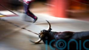 Spanish law strengthens animal rights – with exemption on bullfights