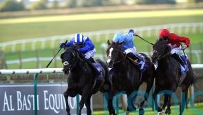 No place quite like Newmarket for Mutasaabeq