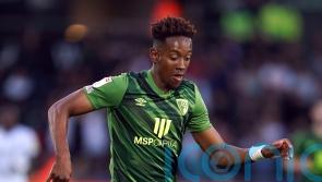 Swansea run out convincing winners in Championship clash at Millwall