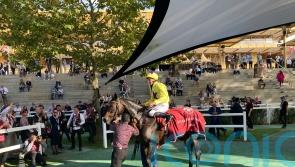 Sea Silk Road enjoys perfect send-off success in Prix de Royallieu