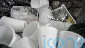 Ban on businesses supplying single-use plastics comes into force in England