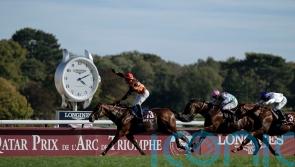 Ace Impact shows blistering burst for stunning Arc success