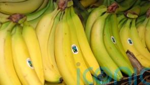 UK retailers urged to join action that ensures banana workers earn living wage