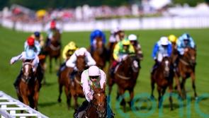 Vauban settles in well ahead of Melbourne Cup tilt